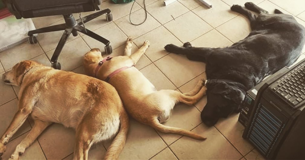 The Quality Control Labs