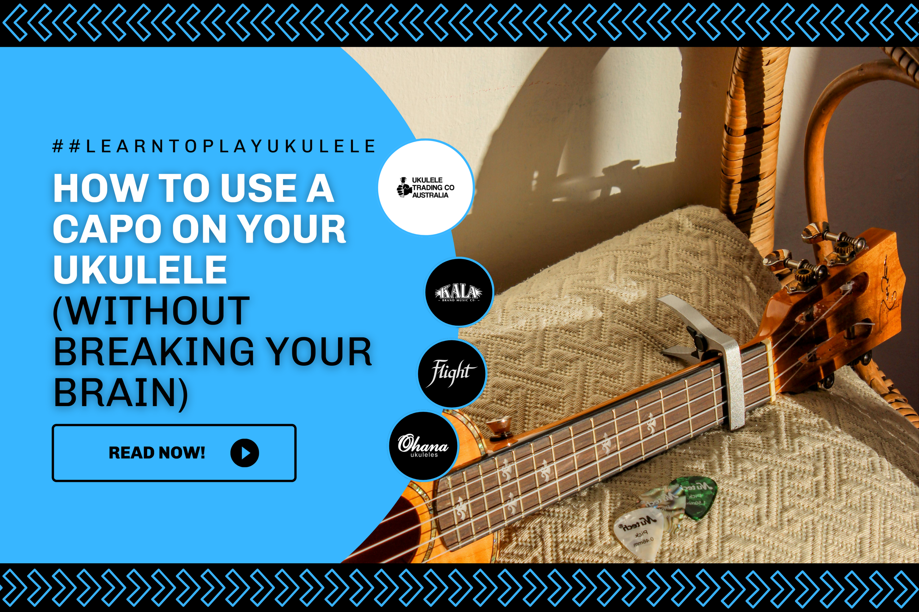 Older adults enjoying ukulele music with high-quality instruments, group jams, and online lessons.