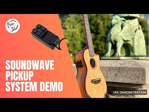 Flight Soundwave Pickup System Add it to any ukulele for increased Acoustic Volume + Three onbaord effects, Reverb, Delay and Chorus.