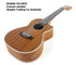 ukulele-trading-co-australia - OHANA CK-20CE Concert Electric Solid Mahogany Top FREE TUNER + POSTAGE + Setup - Ohana - Ukuleles