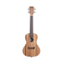 Left-handed Kala KA-PWC/LH Pacific Walnut Concert Ukulele