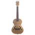 Kala KA-JTE-KZGD archtop ukulele with rosewood fretboard and mahogany neck
