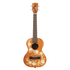Kala Gardenia Mahogany Tenor Ukulele KA-GARDENIA-T – Voyage Collection with Hawaiian-inspired Gardenia artwork, mahogany body, Aquila strings – Australia