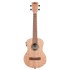 Kala KA-20TE Tenor Electric Ukulele with burled Meranti body and satin finish.