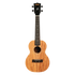 Kala James Hill Solid Top Mahogany Concert Ukulele KA-JH-MHG-C with deluxe gig bag.