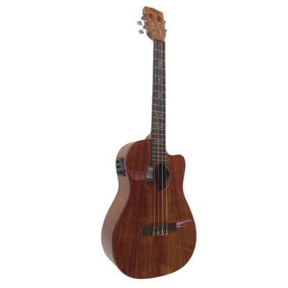 Gloss Australian blackwood concert ukulele with cutaway and electronics
