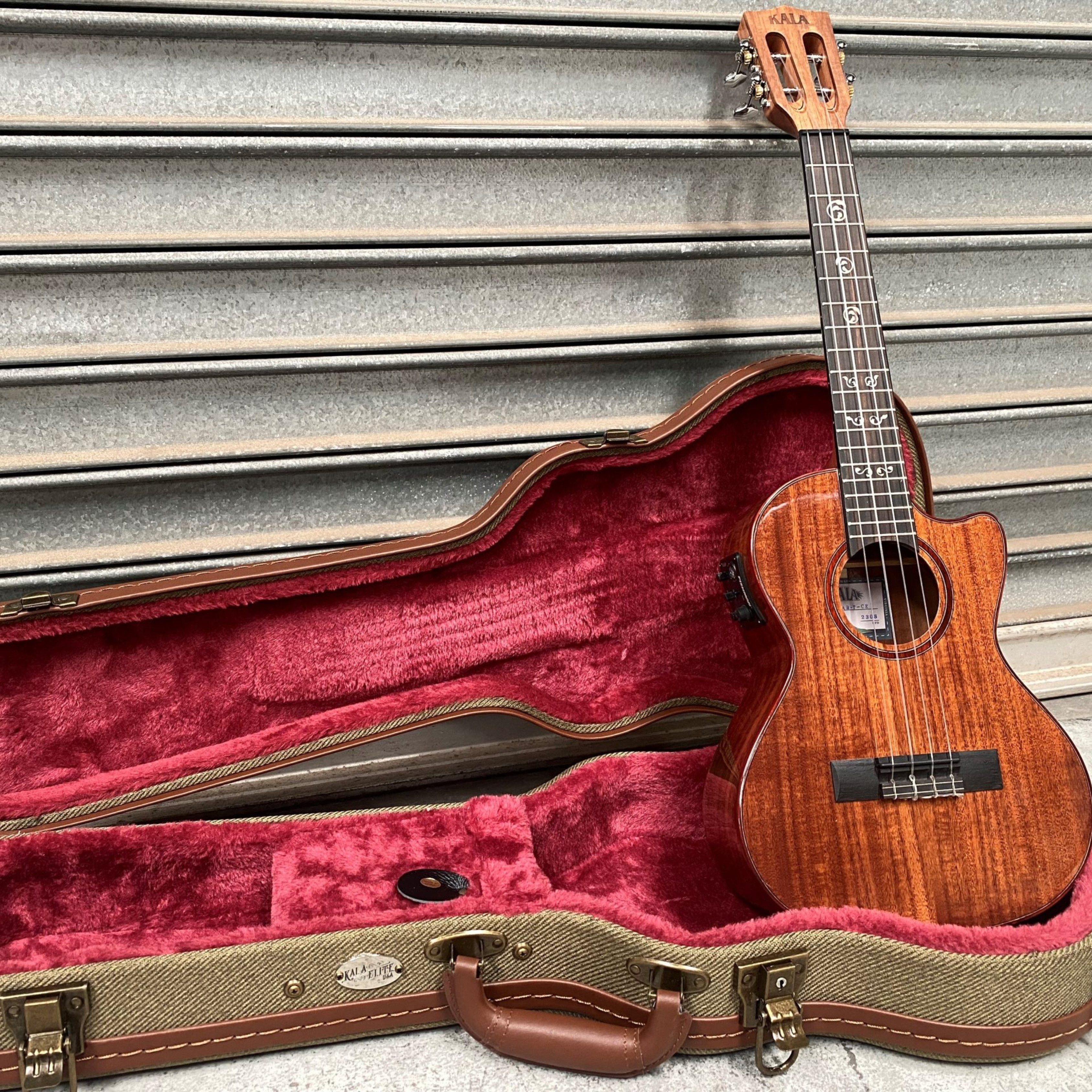 Kala Australian Blackwood Electric Concert Ukulele with Fishman Kula System, purple heart binding, and vintage-style tuners for rich tone and flawless amplification.