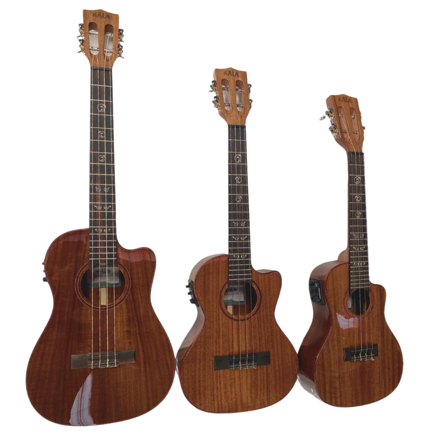 Kala Australian Blackwood Electric Baritone Ukulele with Fishman Kula System, purple heart binding, vintage tuners, and gloss finish for deep, resonant sound and elegant style.