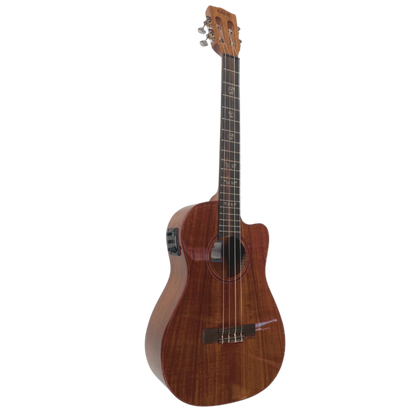 Kala Australian Blackwood Electric Concert Ukulele with Fishman Kula System, purple heart binding, and vintage-style tuners for rich tone and flawless amplification.