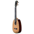 Ohana Pineapple Series PKC-50G Concert Ukulele with solid cedar top, mahogany body, abalone rosette, and mellow, rich tone for a unique musical experience.