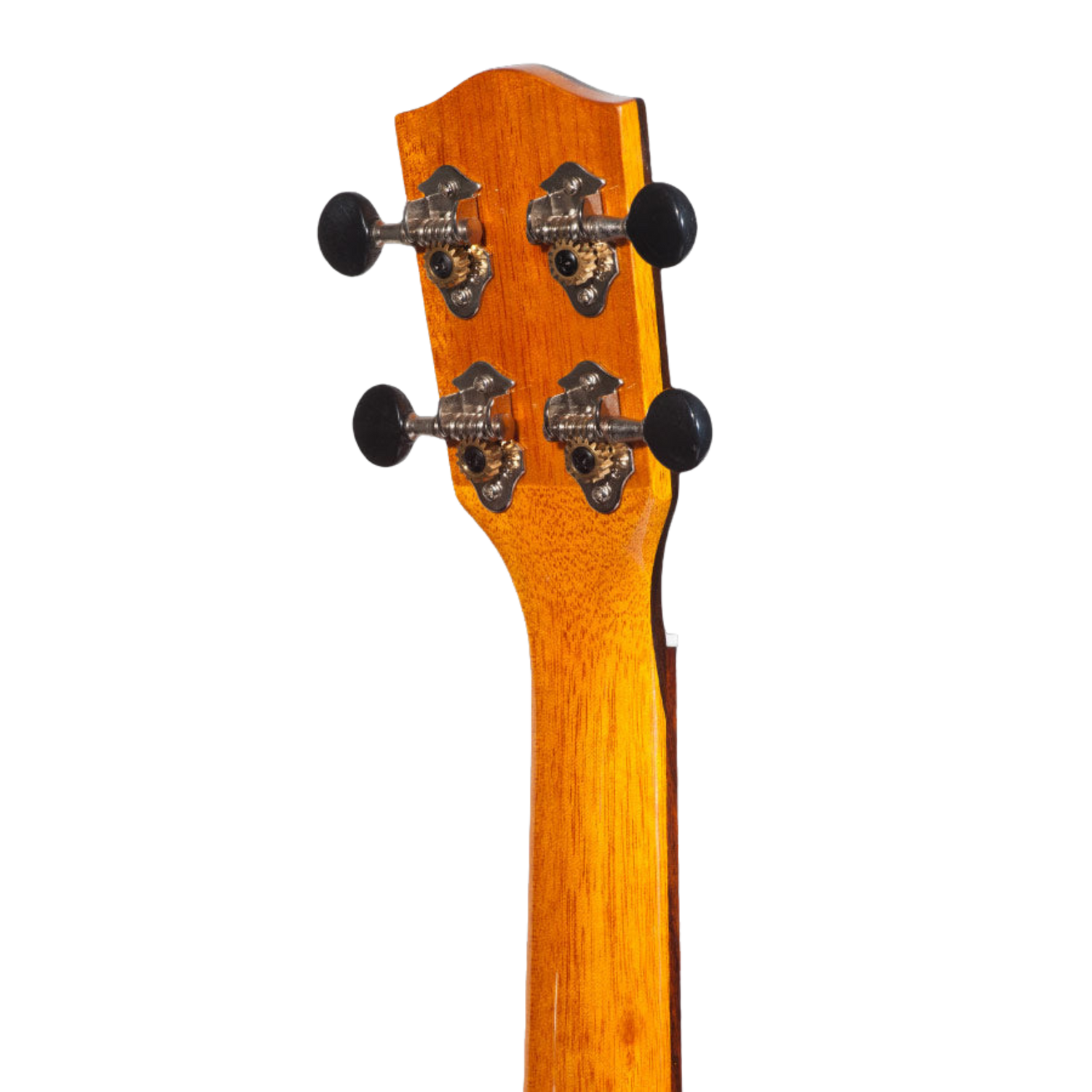 Ohana CK-35GCE All Solid Mahogany Concert Ukulele with gloss finish, active pickup system, cutaway design for easy fret access, and beautiful hardwood binding for a rich, warm tone.