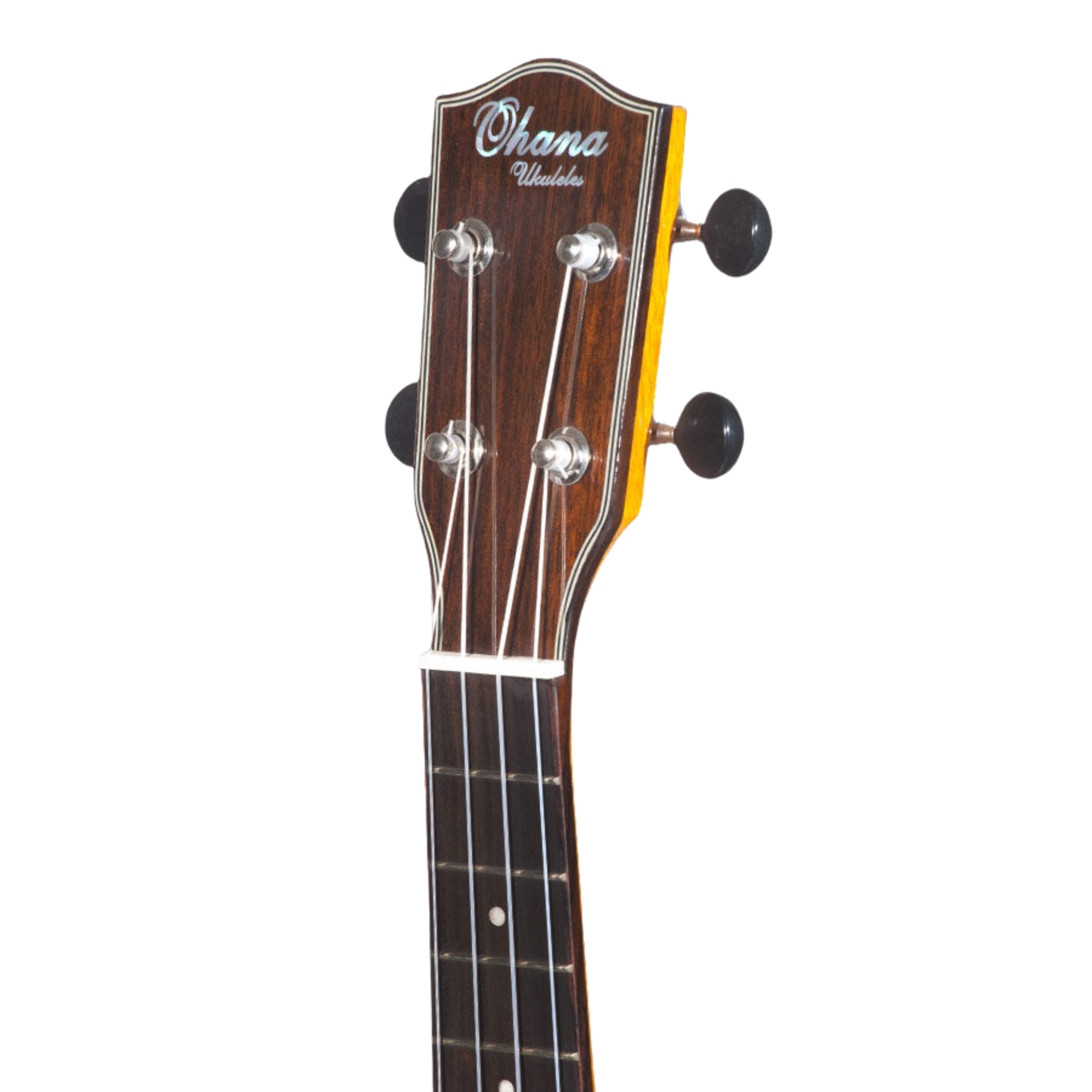 Ohana CK-35GCE All Solid Mahogany Concert Ukulele with gloss finish, active pickup system, cutaway design for easy fret access, and beautiful hardwood binding for a rich, warm tone.