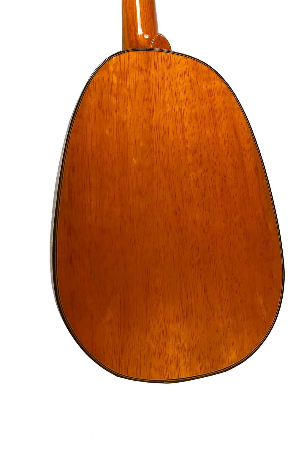 rear of body of Ohana Concert size Ukulele Pineapple PKC-150SMO Spalted Mango Concert Ukulele with glossy finish and abalone inlays. Available from Ukulele Trading Co Australia