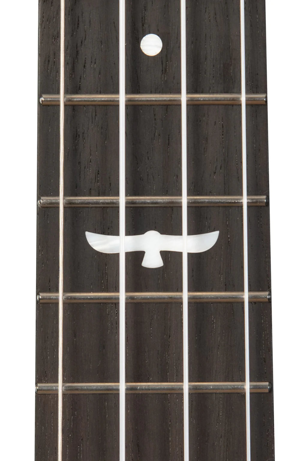 KA-OWL-MNG-TE Revelator® Night Owl Mango Tenor Ukulele Electric