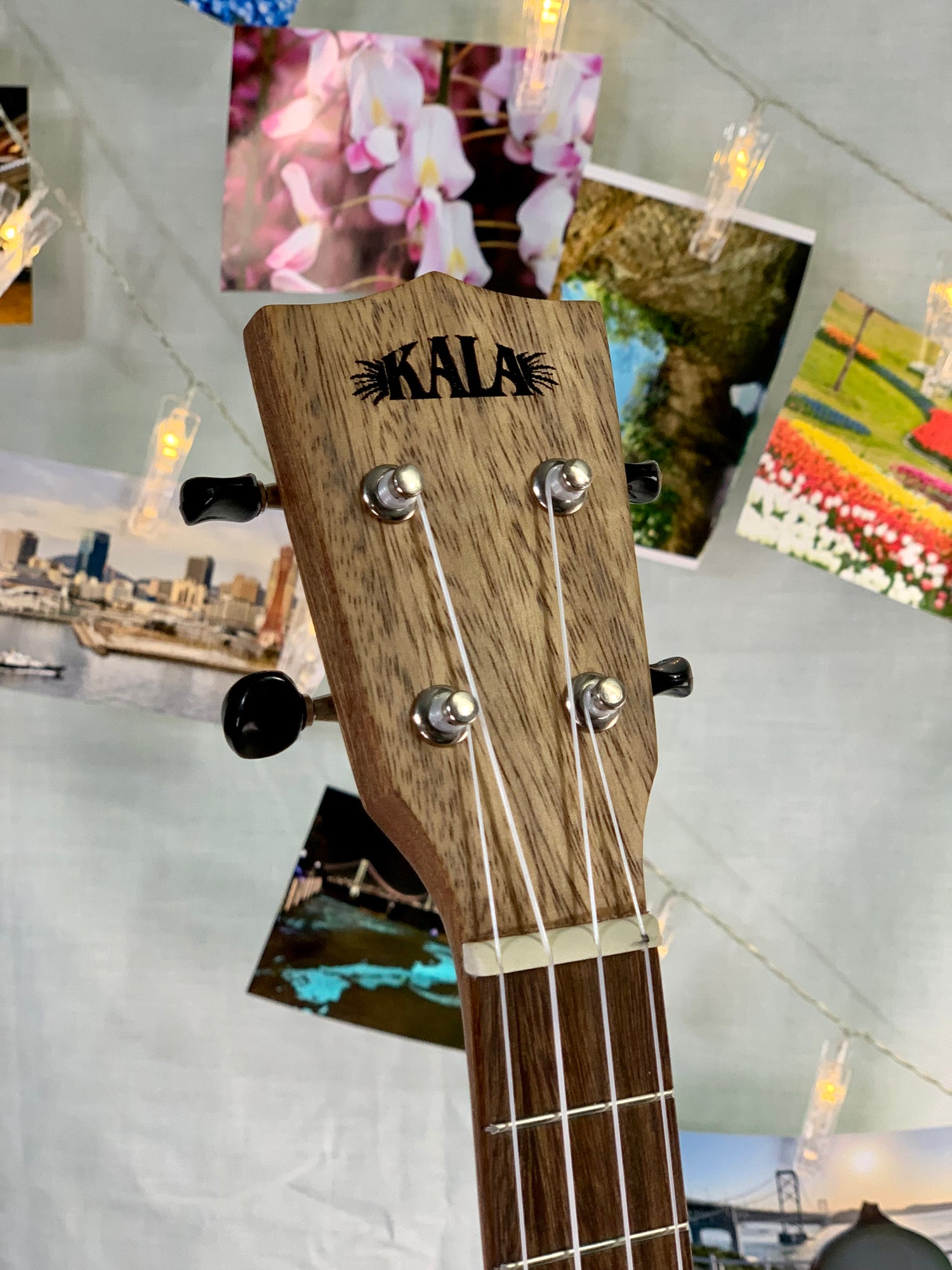 headstock Kala KA-TK-T-CE TEAK TRI-TOP TENOR UKULELE W/ CUTAWAY &amp; EQ BONUS Kala Gigbag $47.95 Ukulele Trading co Australia